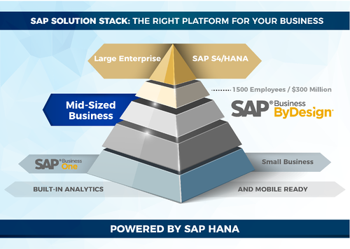 SAP ERP Pyramid