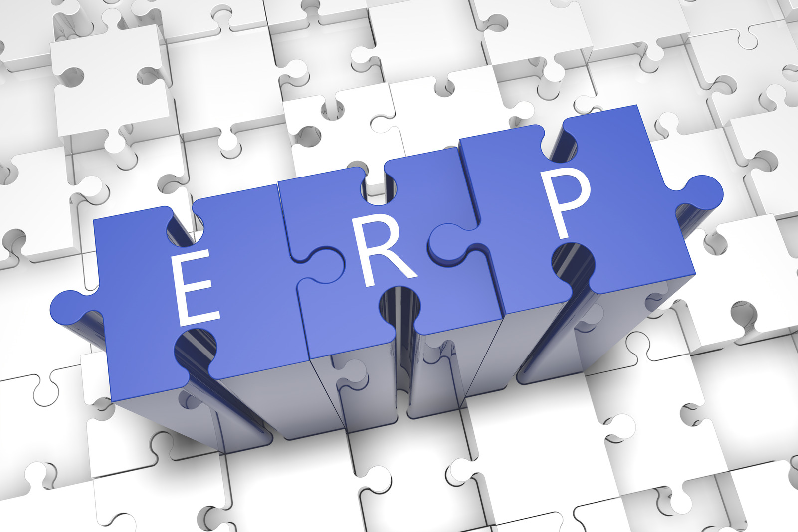 Blue Puzzle that says ERP